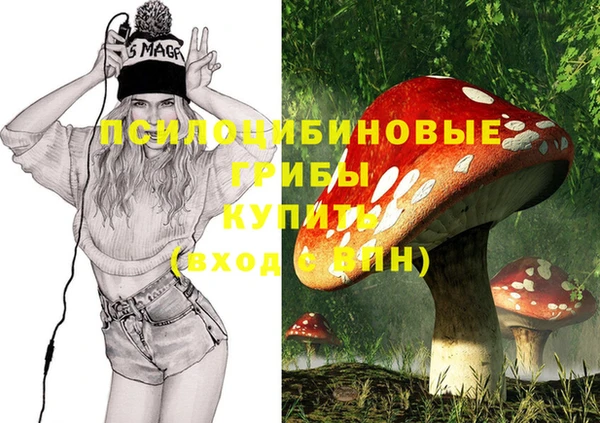 бошки Коряжма