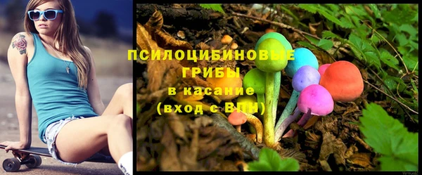ECSTASY Корсаков