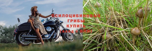 прущие крисы Армянск