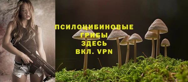 прущие крисы Армянск